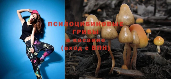 не бодяженный Иннополис