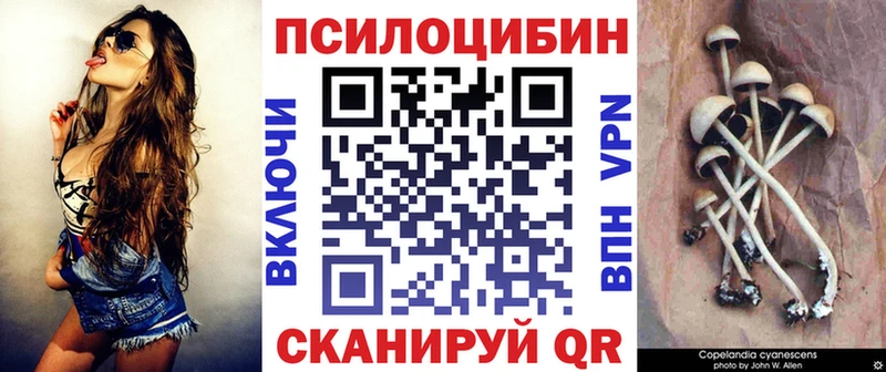 Псилоцибиновые грибы Cubensis  где купить наркотик  Семилуки 